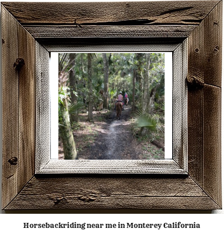 horseback riding near me in Monterey, California